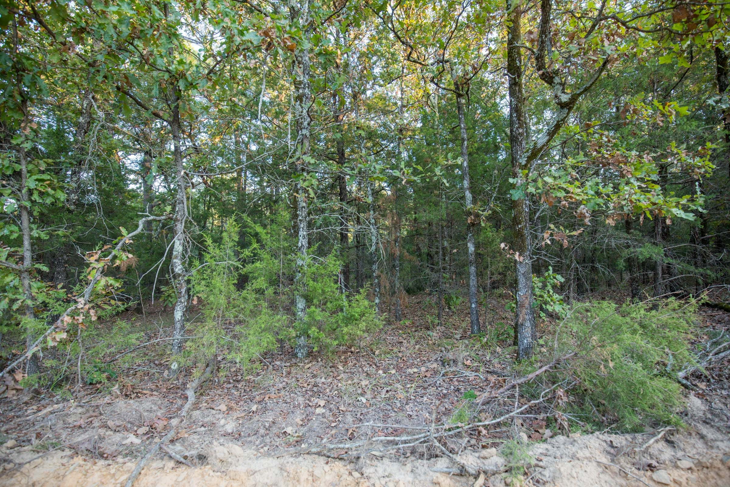 Stone Bridge Phase I · Tract 66