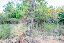 property photo for Stone Bridge Phase I Tract 66, 71.07 acres for sale in LatimerHaskell County, Oklahoma