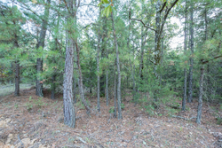 property photo for Stone Bridge Phase I Tract 66, 71.07 acres for sale in LatimerHaskell County, Oklahoma