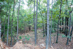 property photo for Stone Bridge Phase I Tract 66, 71.07 acres for sale in LatimerHaskell County, Oklahoma