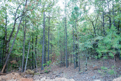 property photo for Stone Bridge Phase I Tract 66, 71.07 acres for sale in LatimerHaskell County, Oklahoma