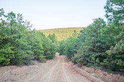 property photo for Stone Bridge Phase I Tract 66, 71.07 acres for sale in LatimerHaskell County, Oklahoma