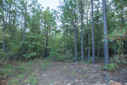 property photo for Stone Bridge Phase I Tract 66, 71.07 acres for sale in LatimerHaskell County, Oklahoma