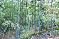 property photo for Stone Bridge Phase I Tract 66, 71.07 acres for sale in LatimerHaskell County, Oklahoma