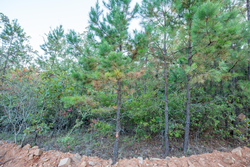 property photo for Stone Bridge Phase I Tract 66, 71.07 acres for sale in LatimerHaskell County, Oklahoma