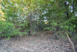 property photo for Stone Bridge Phase I Tract 66, 71.07 acres for sale in LatimerHaskell County, Oklahoma