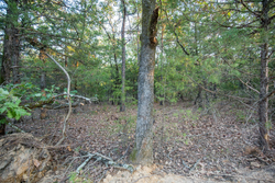 property photo for Stone Bridge Phase I Tract 66, 71.07 acres for sale in LatimerHaskell County, Oklahoma