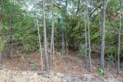 property photo for Stone Bridge Phase I Tract 66, 71.07 acres for sale in LatimerHaskell County, Oklahoma