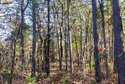 property photo for Stone Bridge Reserve Tract 9, 6.5 acres for sale in LatimerHaskell County, Oklahoma