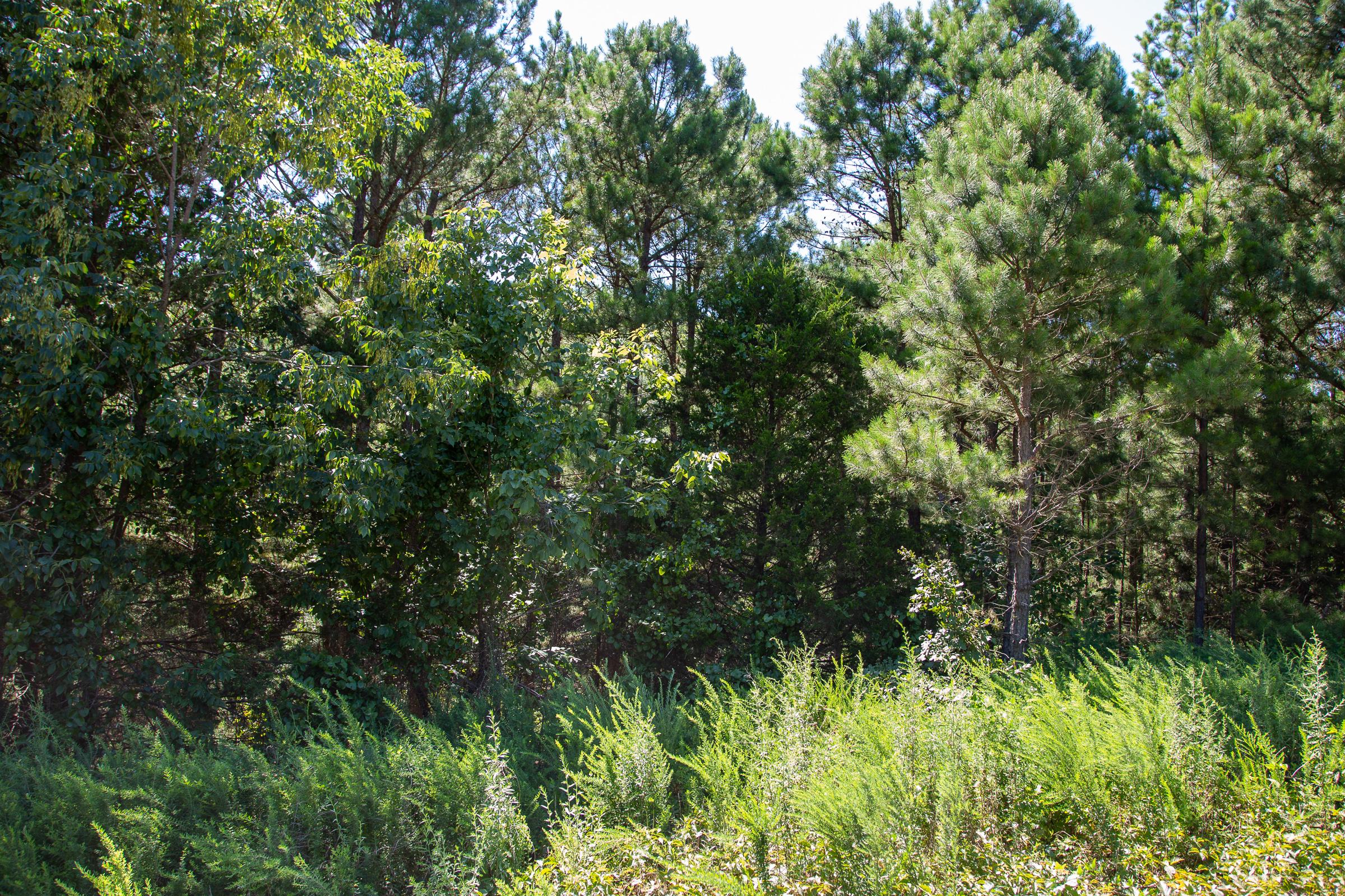 Tract 1 at Tyler Stone Ranch in Leflore County, Oklahoma