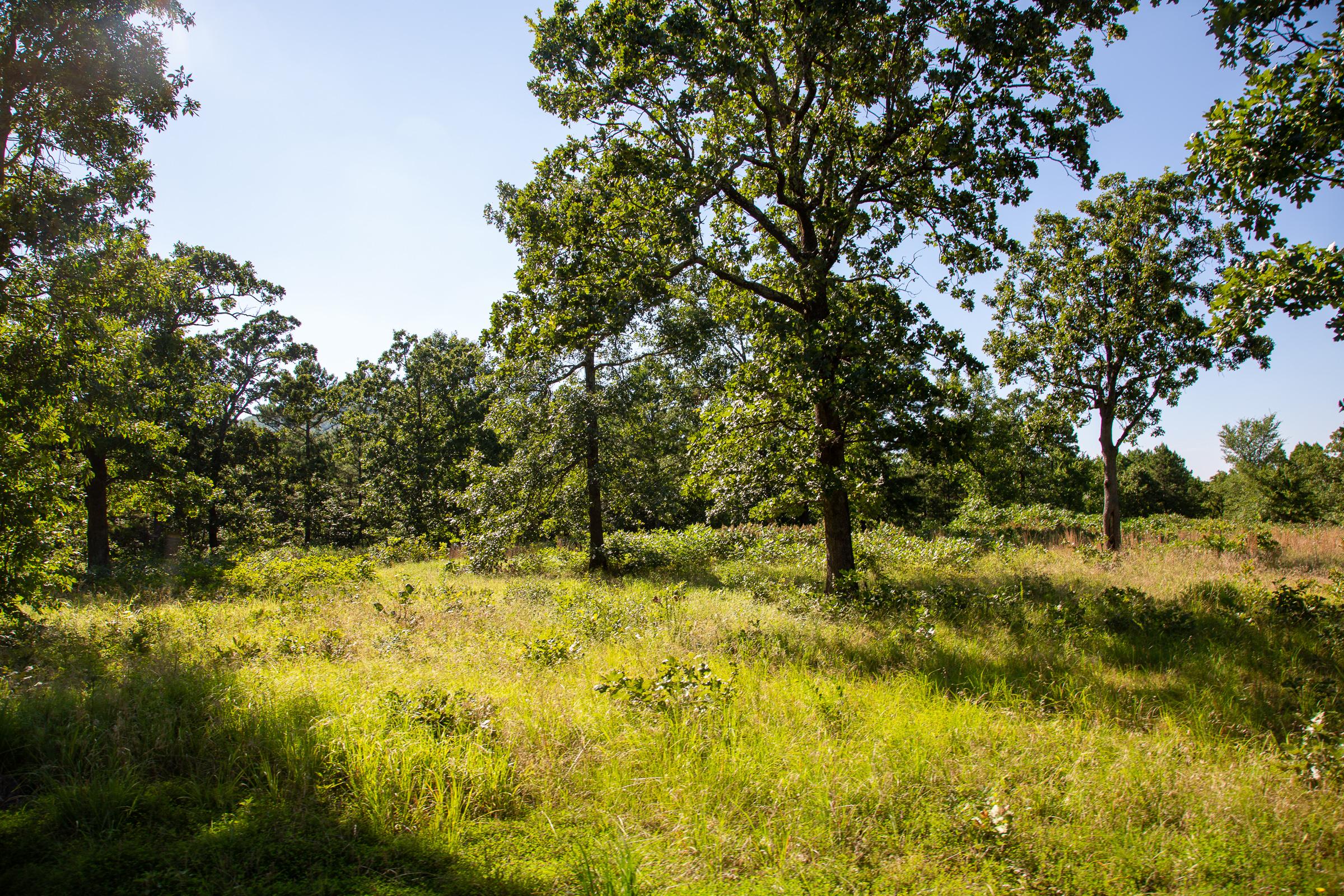 Tract 15 at Tyler Stone Ranch in Leflore County, Oklahoma