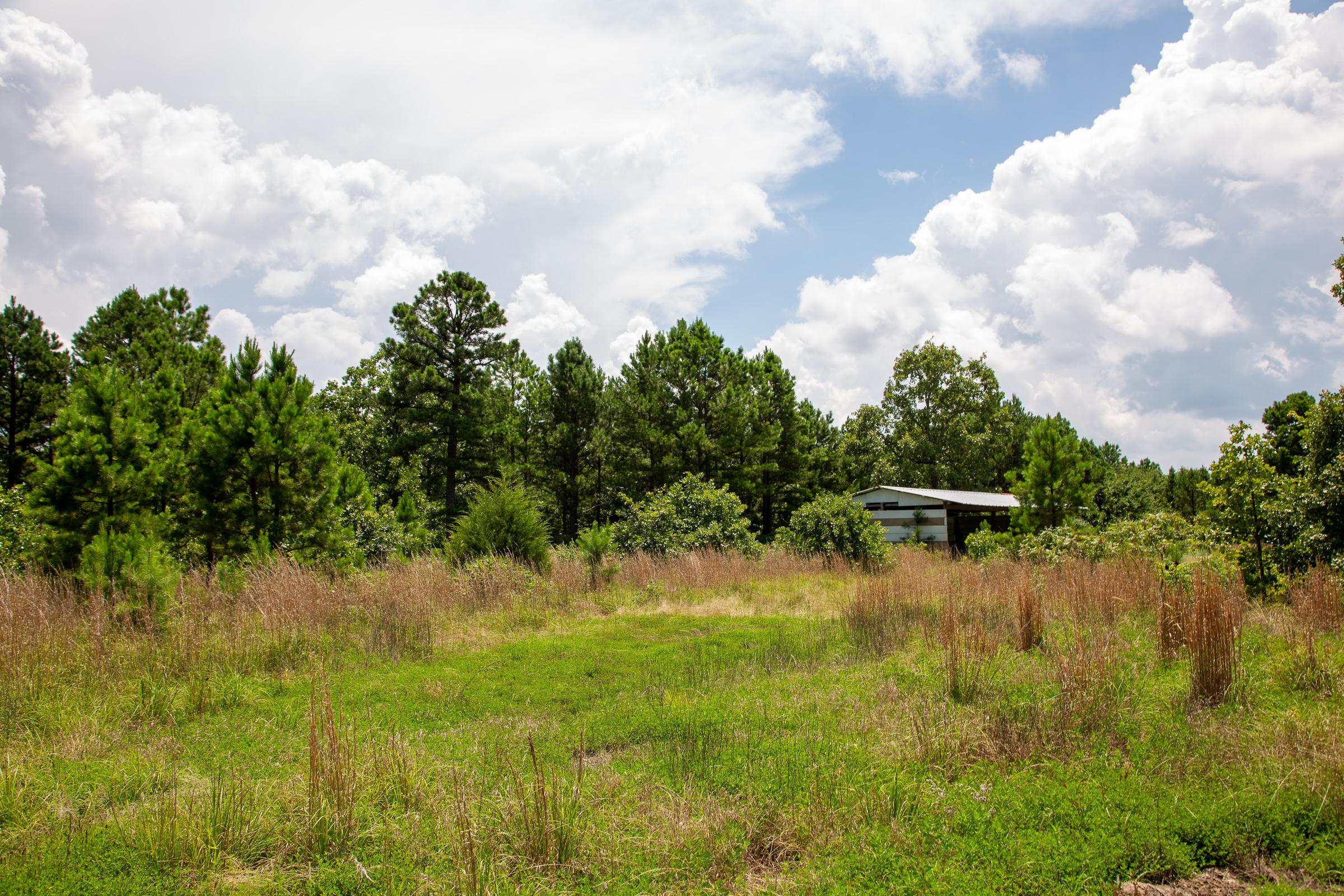 Tract 17 at Tyler Stone Ranch in Leflore County, Oklahoma