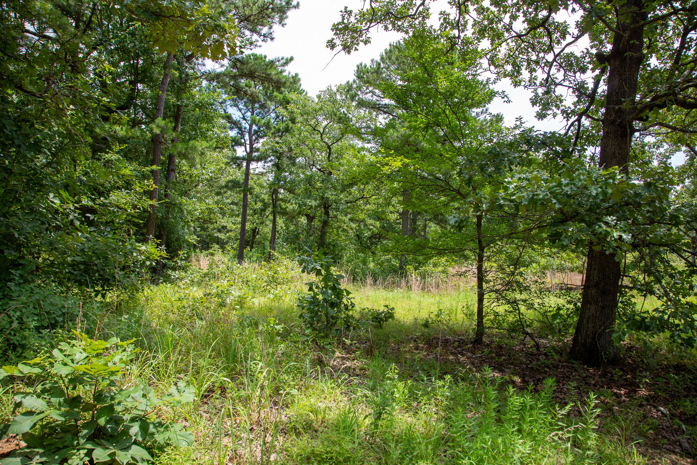 Tract 20 at Tyler Stone Ranch in Leflore County, Oklahoma