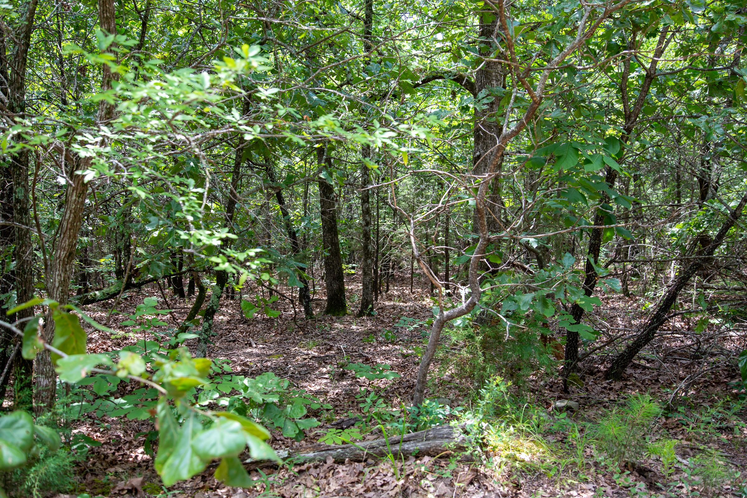 Tract 24 at Tyler Stone Ranch in Leflore County, Oklahoma