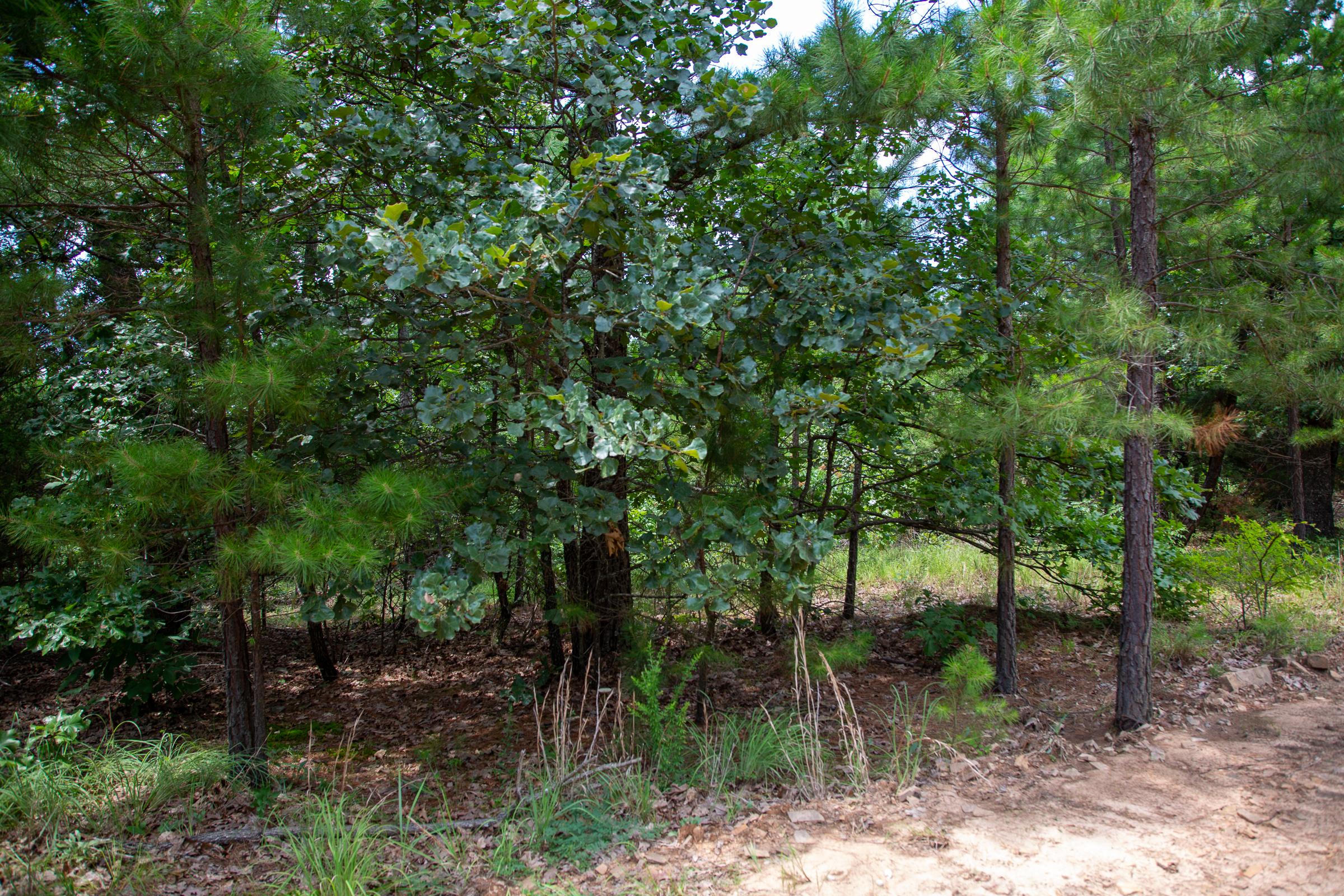 Tract 25 at Tyler Stone Ranch in Leflore County, Oklahoma