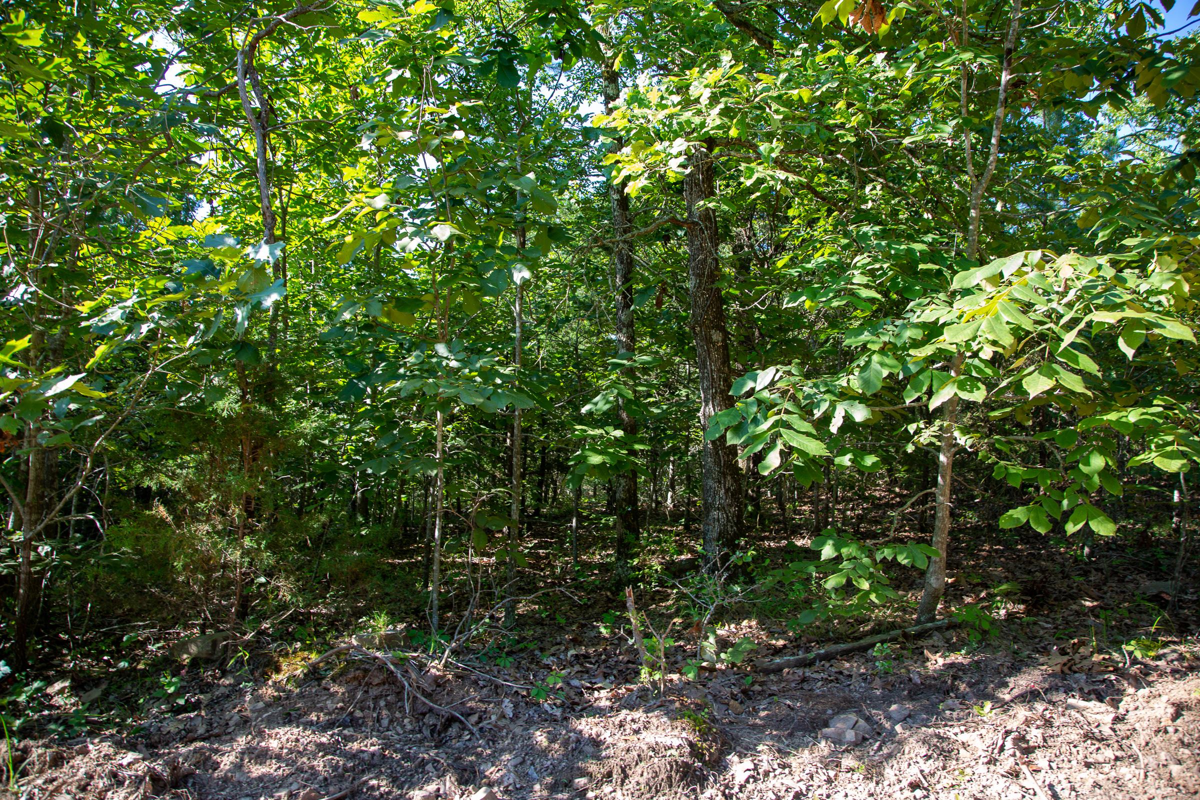 Tract 32 at Tyler Stone Ranch in Leflore County, Oklahoma