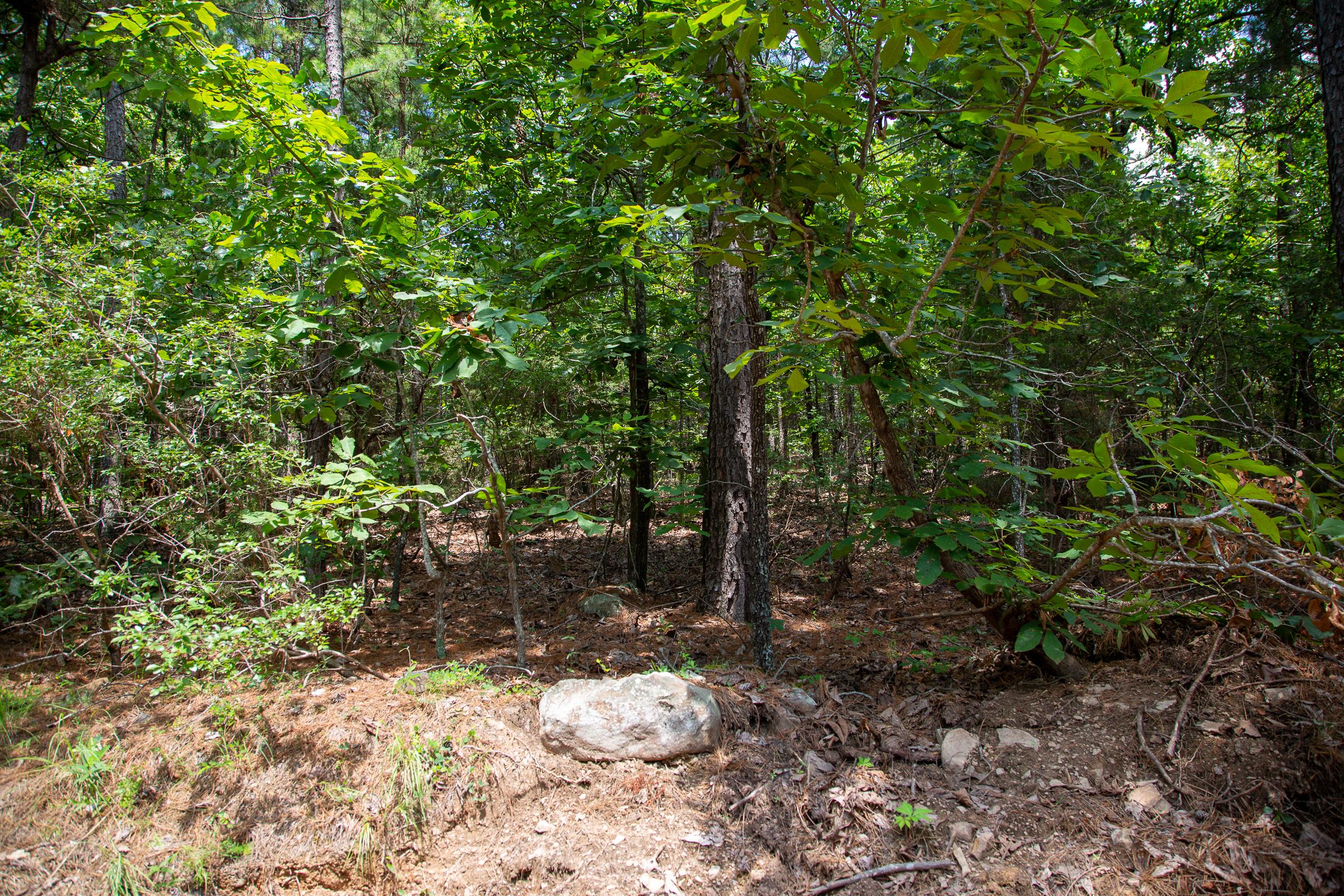 Tract 35 at Tyler Stone Ranch in Leflore County, Oklahoma