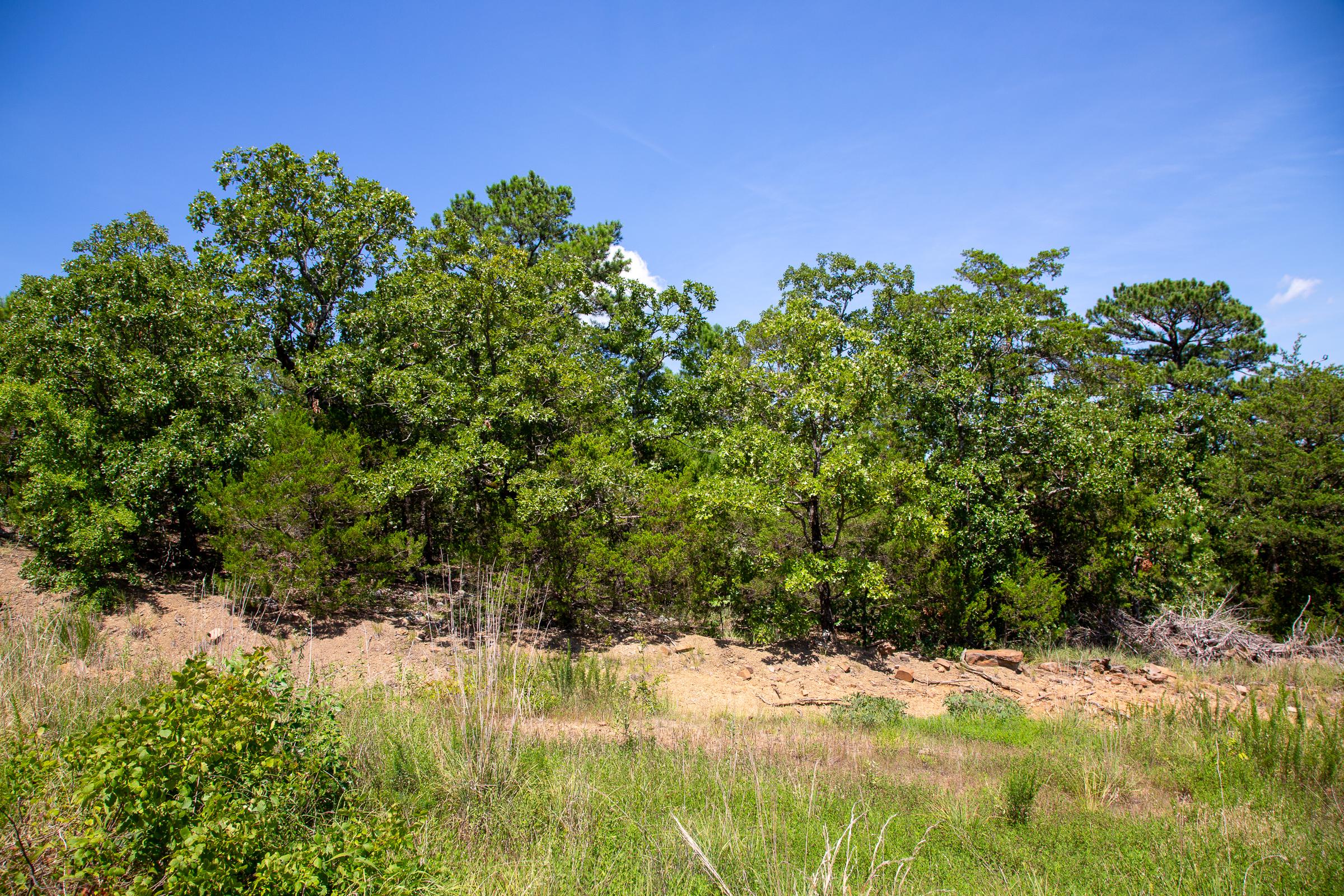 Tract 38 at Tyler Stone Ranch in Leflore County, Oklahoma