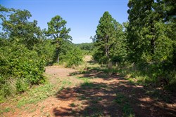 property photo for Tyler Stone Ranch Tract 43, 8.29 acres for sale in Leflore County, Oklahoma