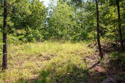 property photo for Tyler Stone Ranch Tract 43, 8.29 acres for sale in Leflore County, Oklahoma