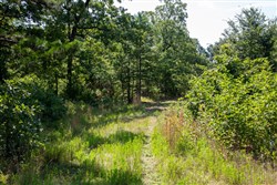 property photo for Tyler Stone Ranch Tract 43, 8.29 acres for sale in Leflore County, Oklahoma