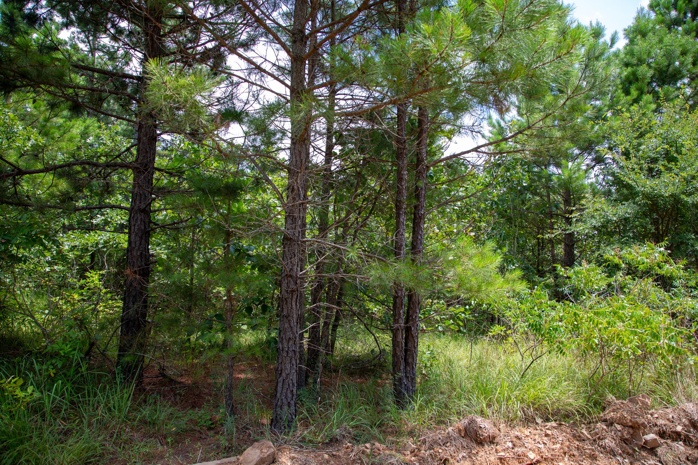 Tract 44 at Tyler Stone Ranch in Leflore County, Oklahoma