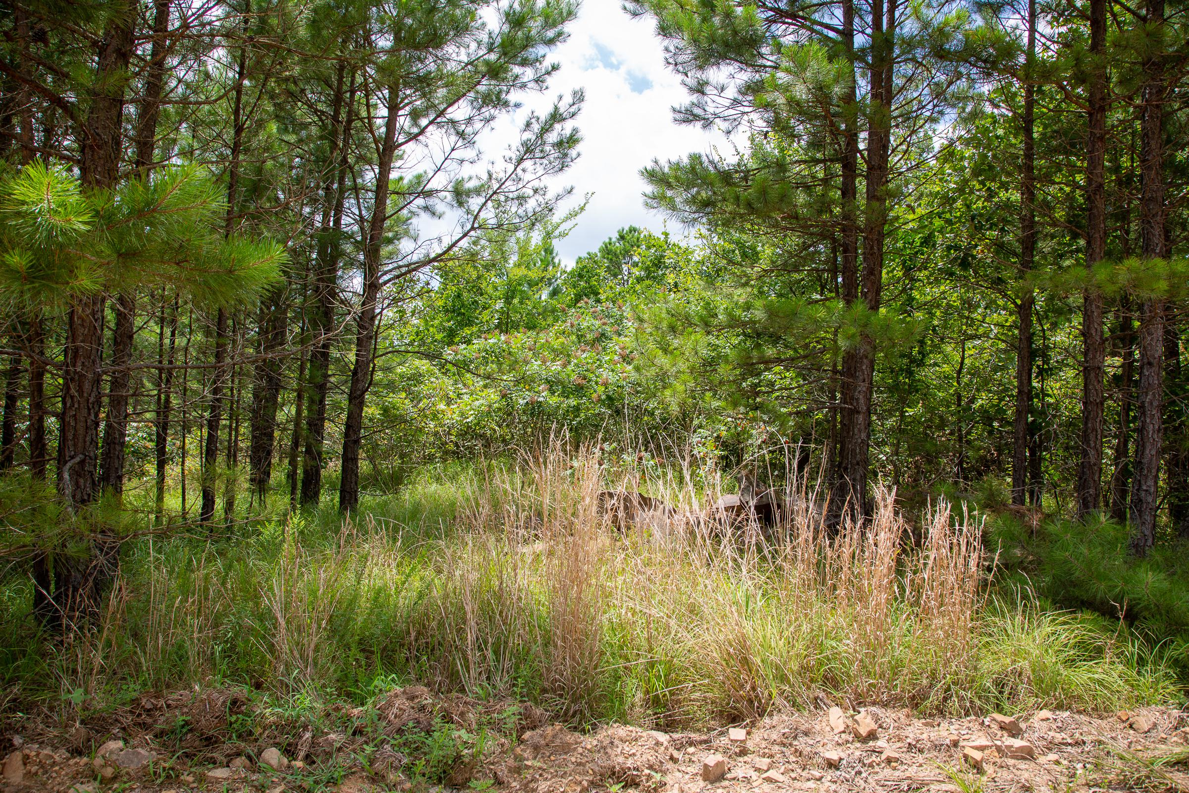 Tract 45 at Tyler Stone Ranch in Leflore County, Oklahoma