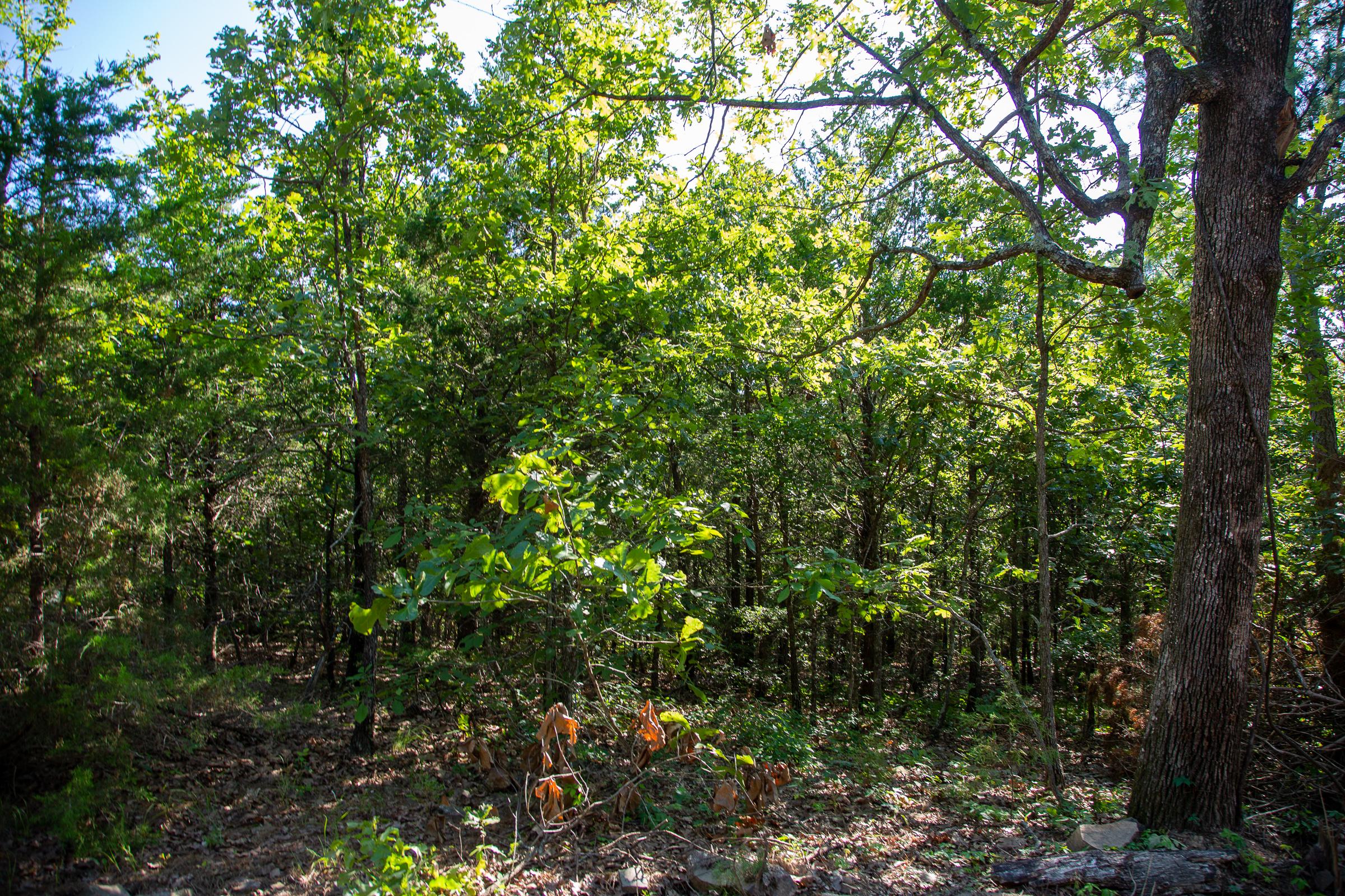 Tract 48 at Tyler Stone Ranch in Leflore County, Oklahoma