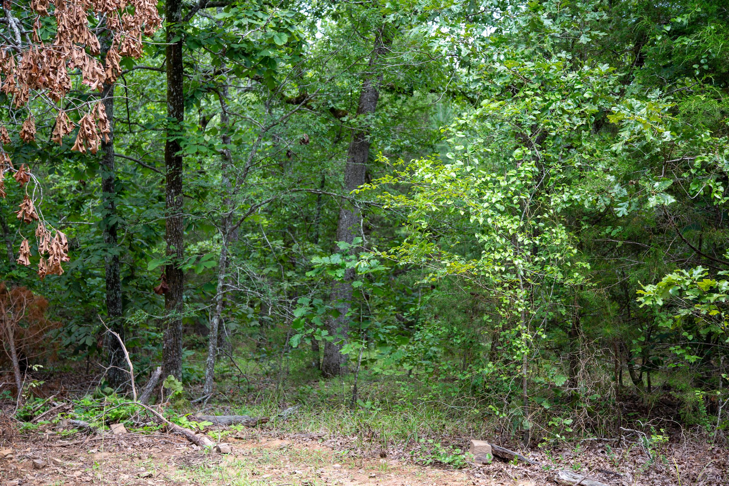 Tract 49 at Tyler Stone Ranch in Leflore County, Oklahoma
