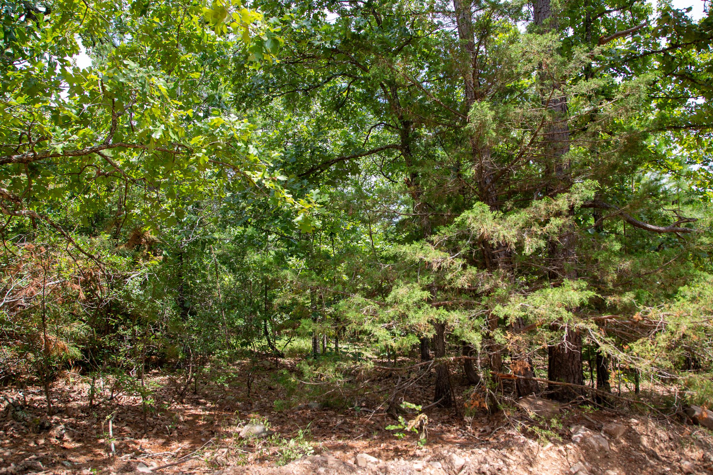Tract 51 at Tyler Stone Ranch in Leflore County, Oklahoma
