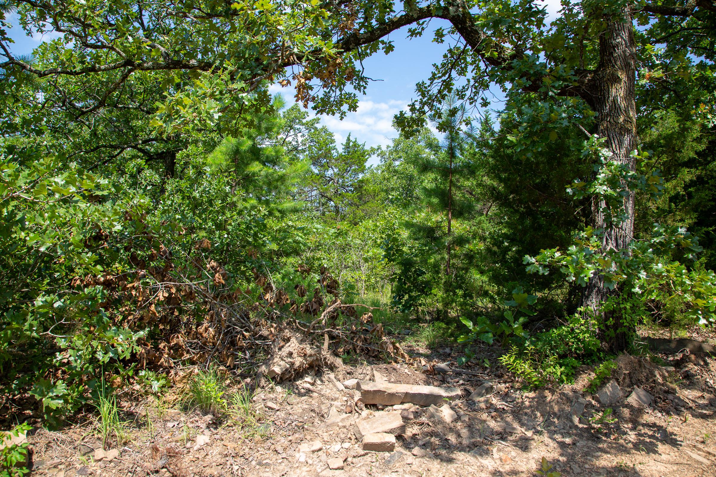 Tract 56 at Tyler Stone Ranch in Leflore County, Oklahoma