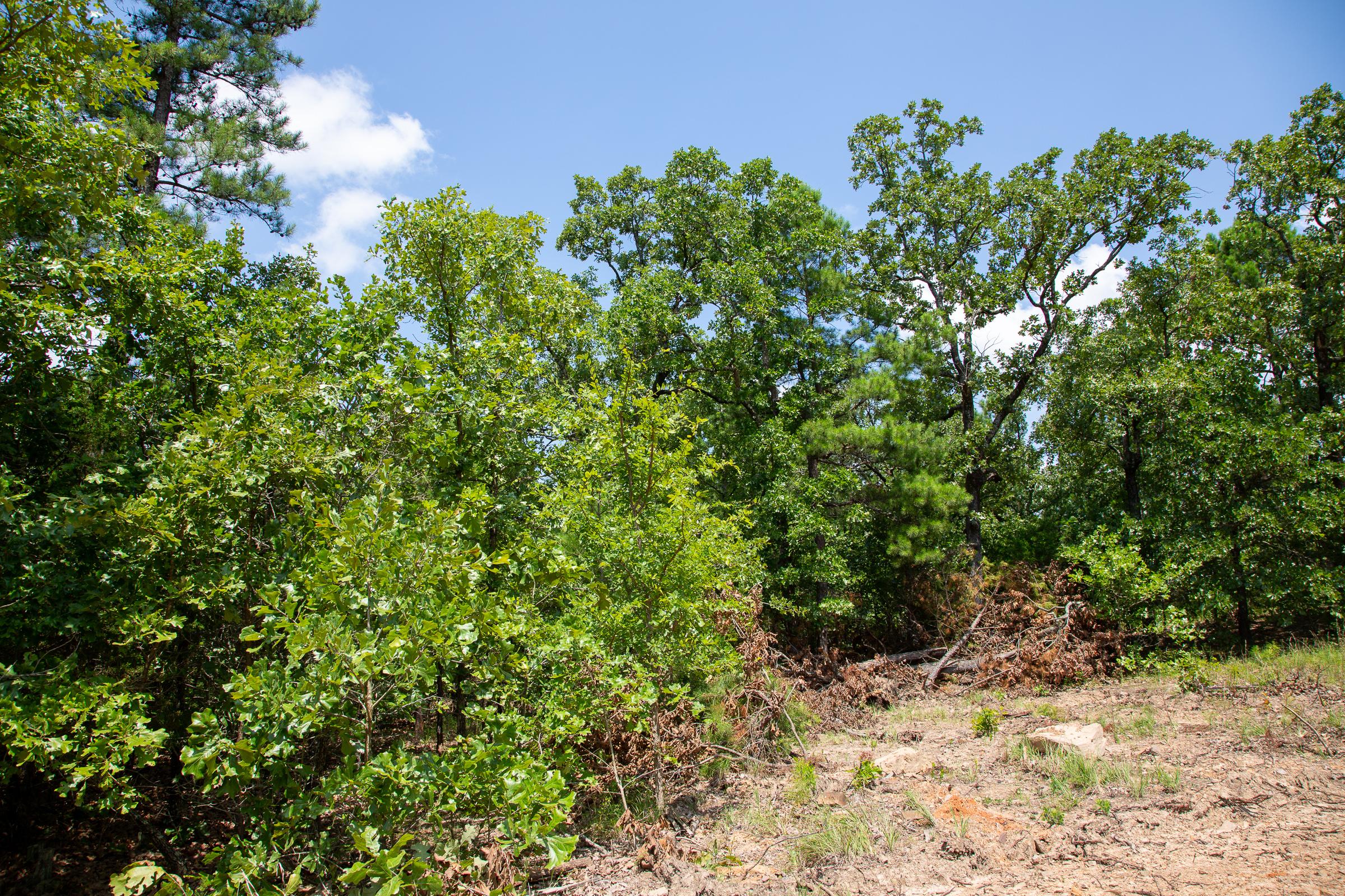 Tract 58 at Tyler Stone Ranch in Leflore County, Oklahoma