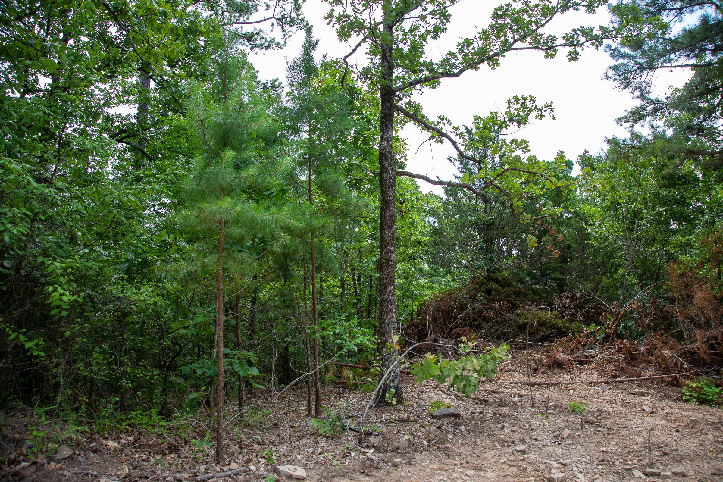 Tract 60 at Tyler Stone Ranch in Leflore County, Oklahoma