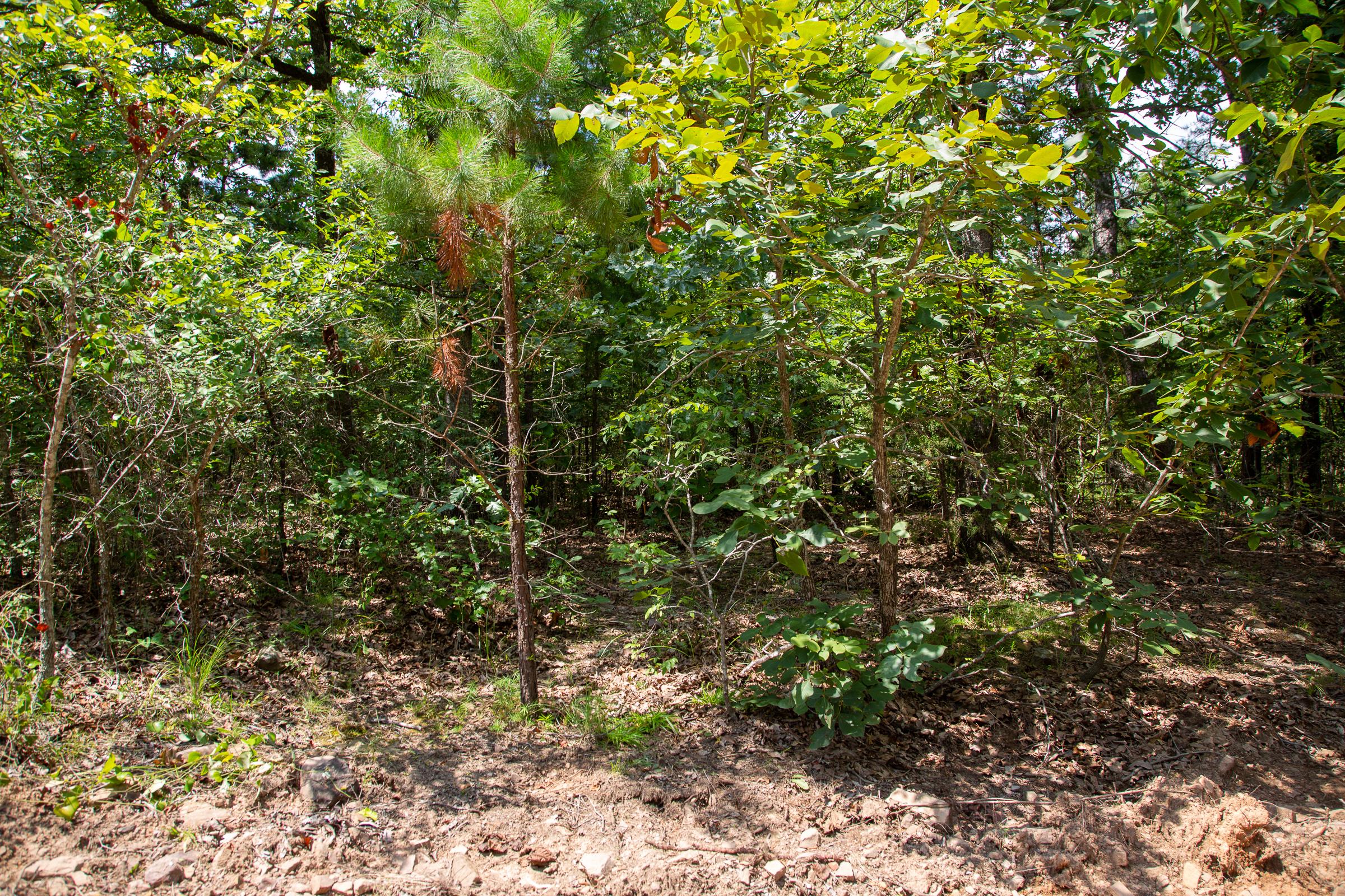 Tract 66 at Tyler Stone Ranch in Leflore County, Oklahoma