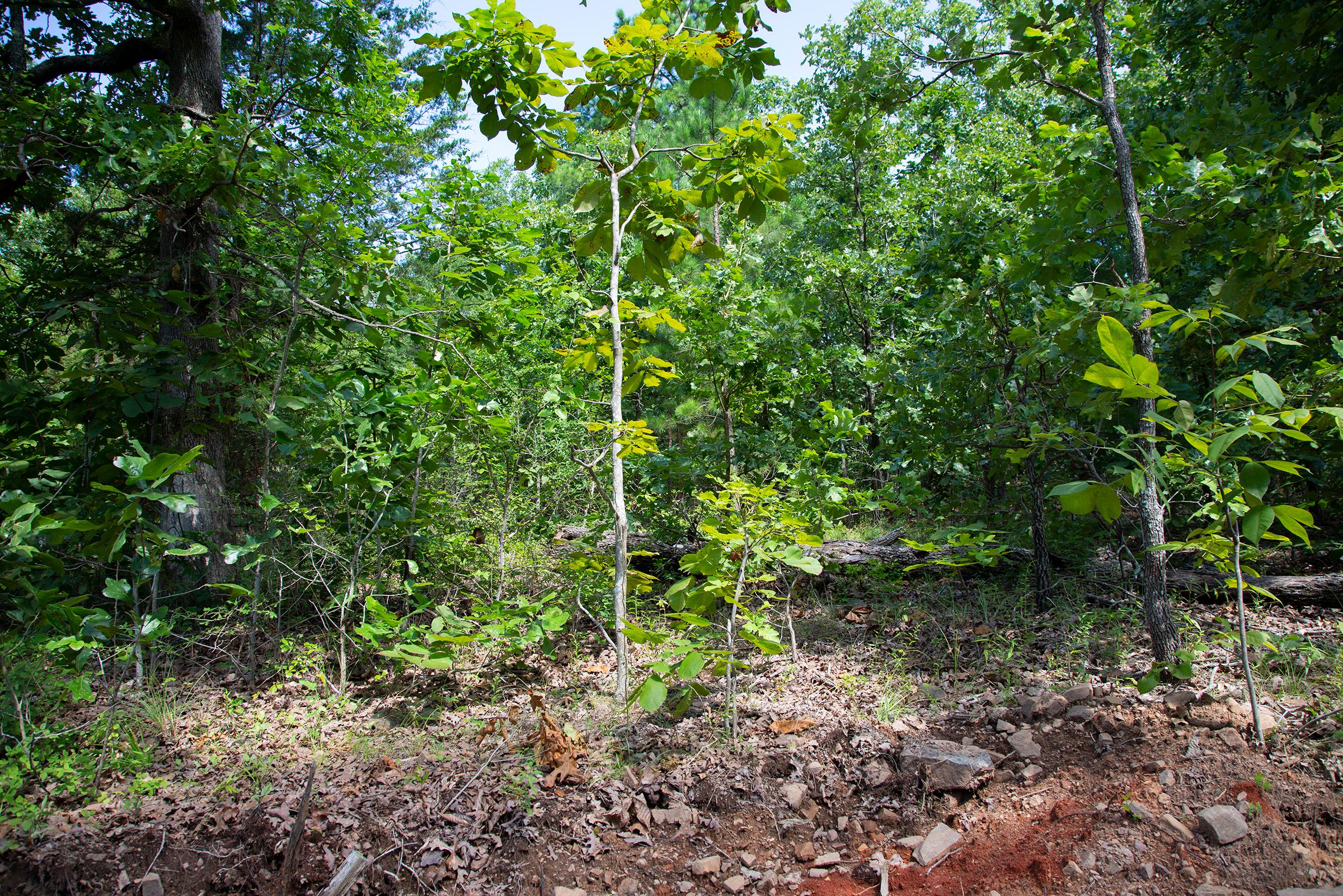 Tract 70 at Tyler Stone Ranch in Leflore County, Oklahoma