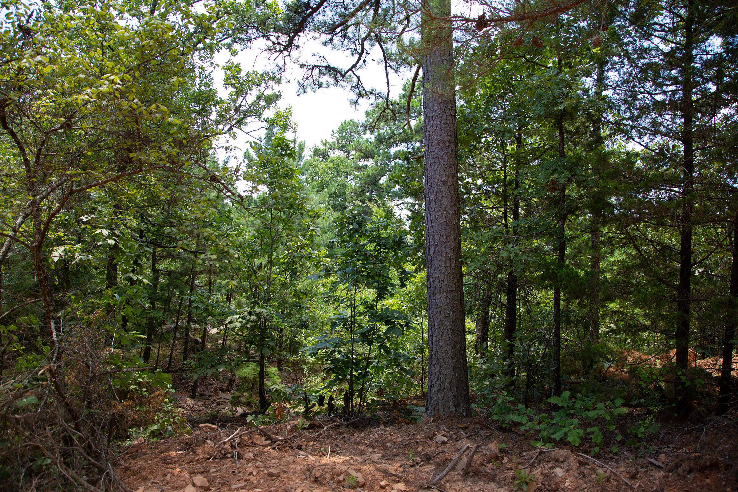 Tract 71 at Tyler Stone Ranch in Leflore County, Oklahoma
