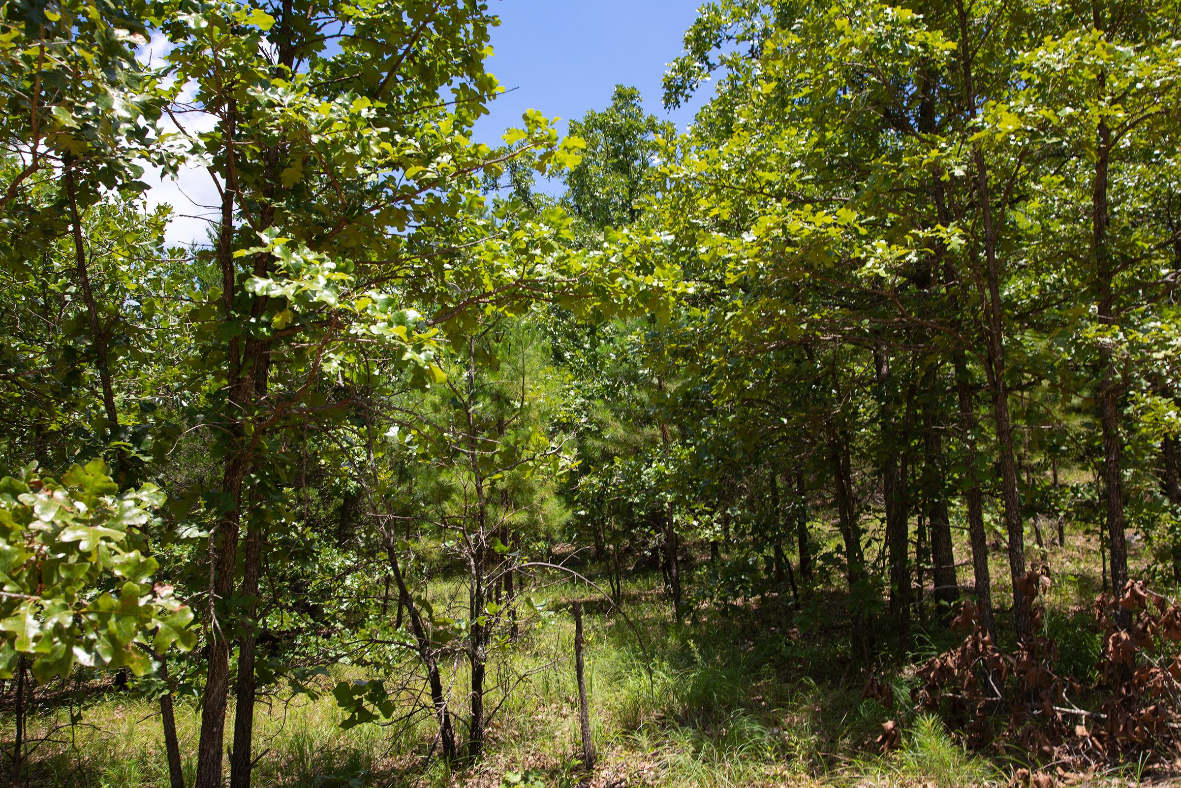 Tract 72 at Tyler Stone Ranch in Leflore County, Oklahoma