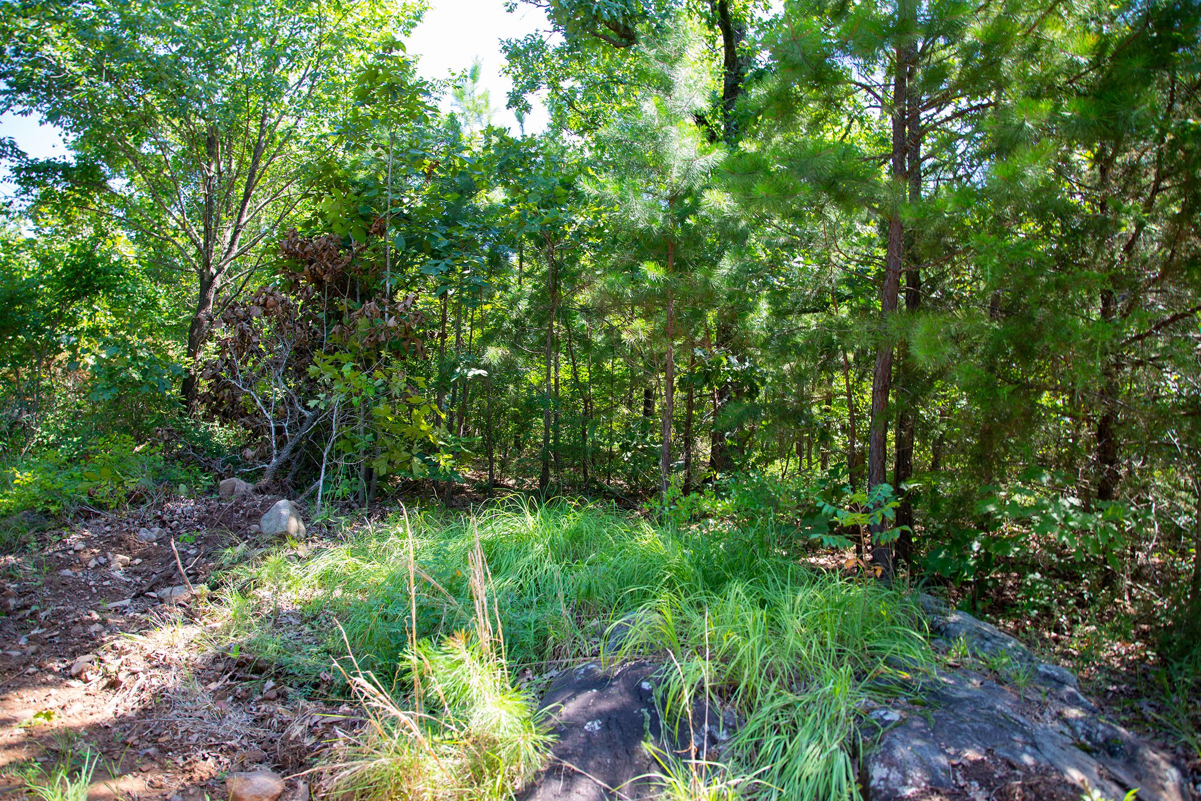 Tract 73 at Tyler Stone Ranch in Leflore County, Oklahoma