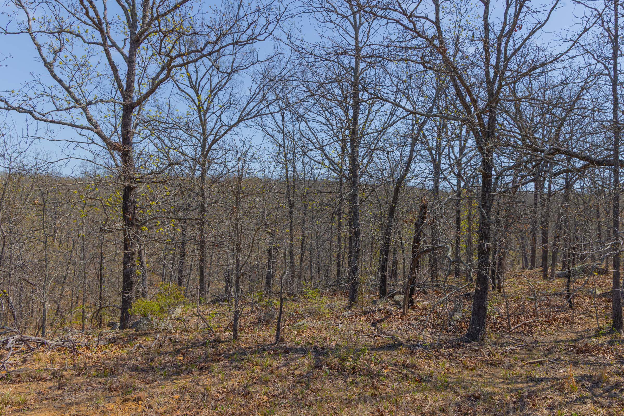 Tract 11 at Jlh Estates in Okfuskee County, Oklahoma