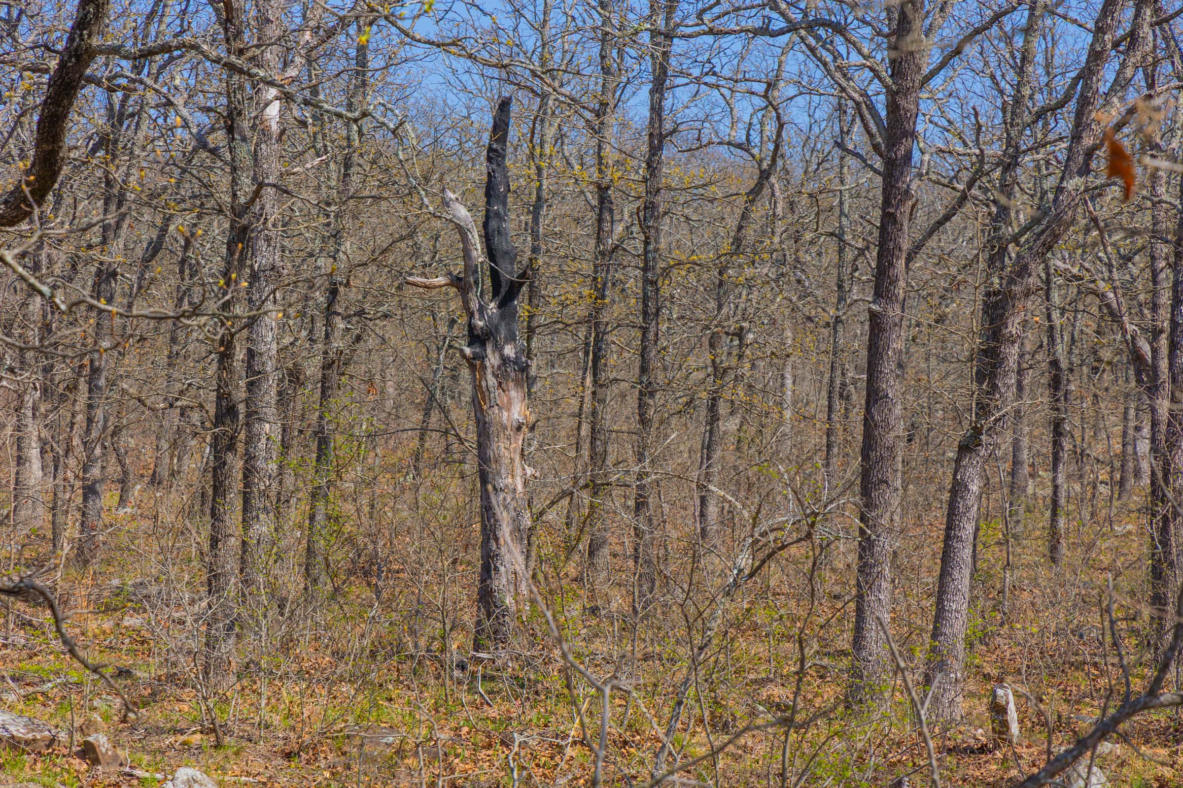 Tract 15 at Jlh Estates in Okfuskee County, Oklahoma