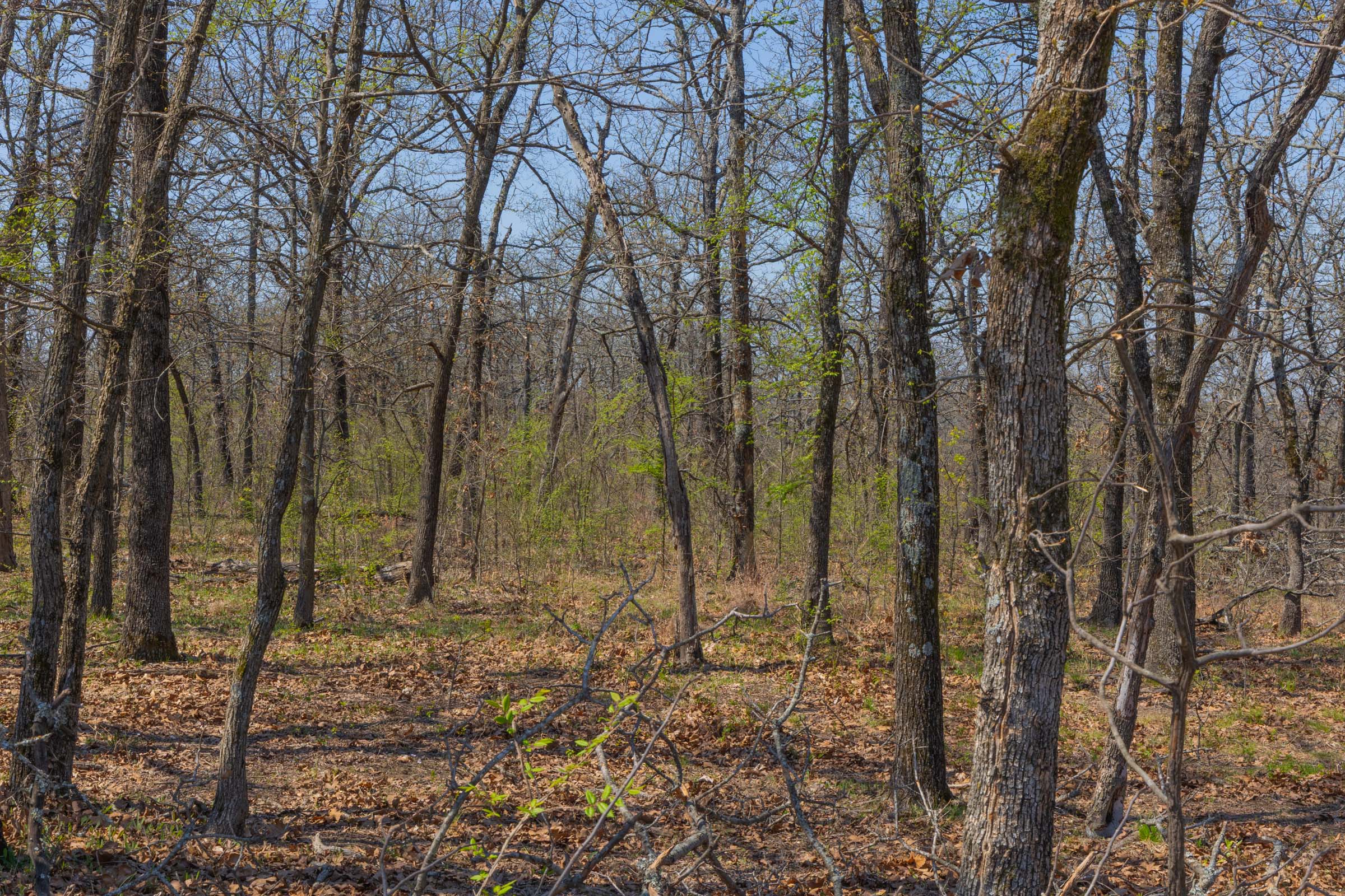 Tract 17 at Jlh Estates in Okfuskee County, Oklahoma