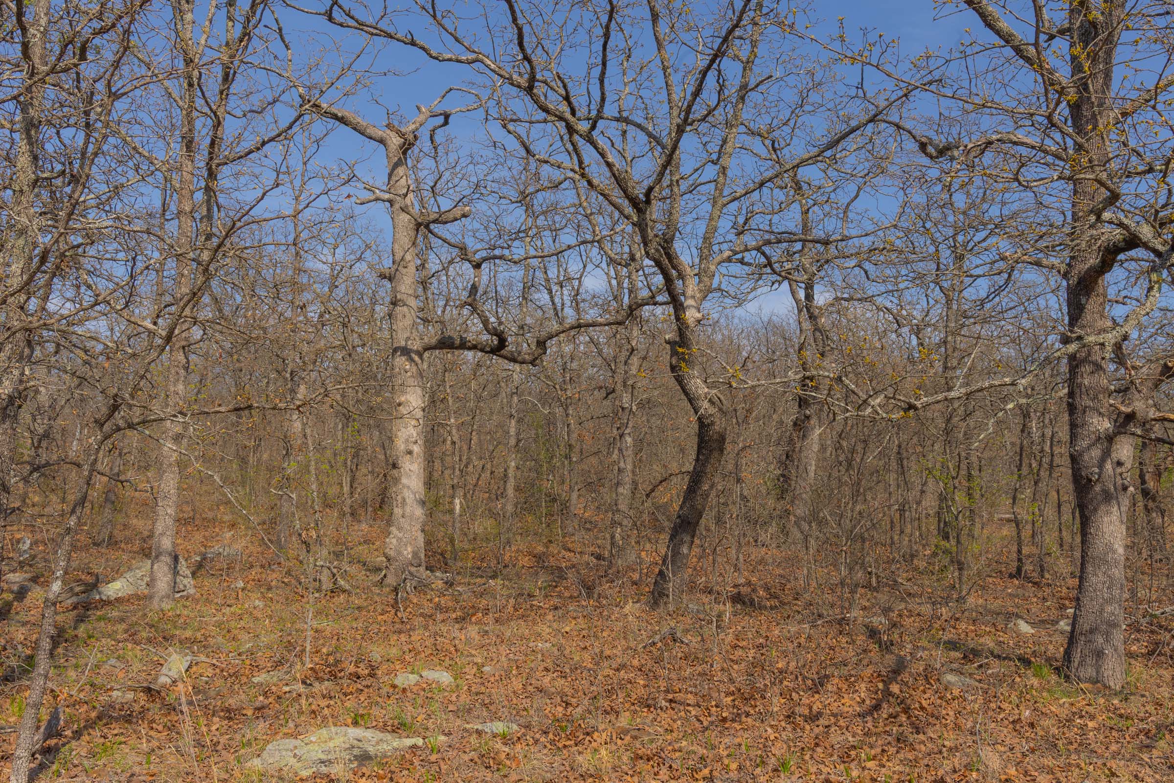 Tract 19 at Jlh Estates in Okfuskee County, Oklahoma