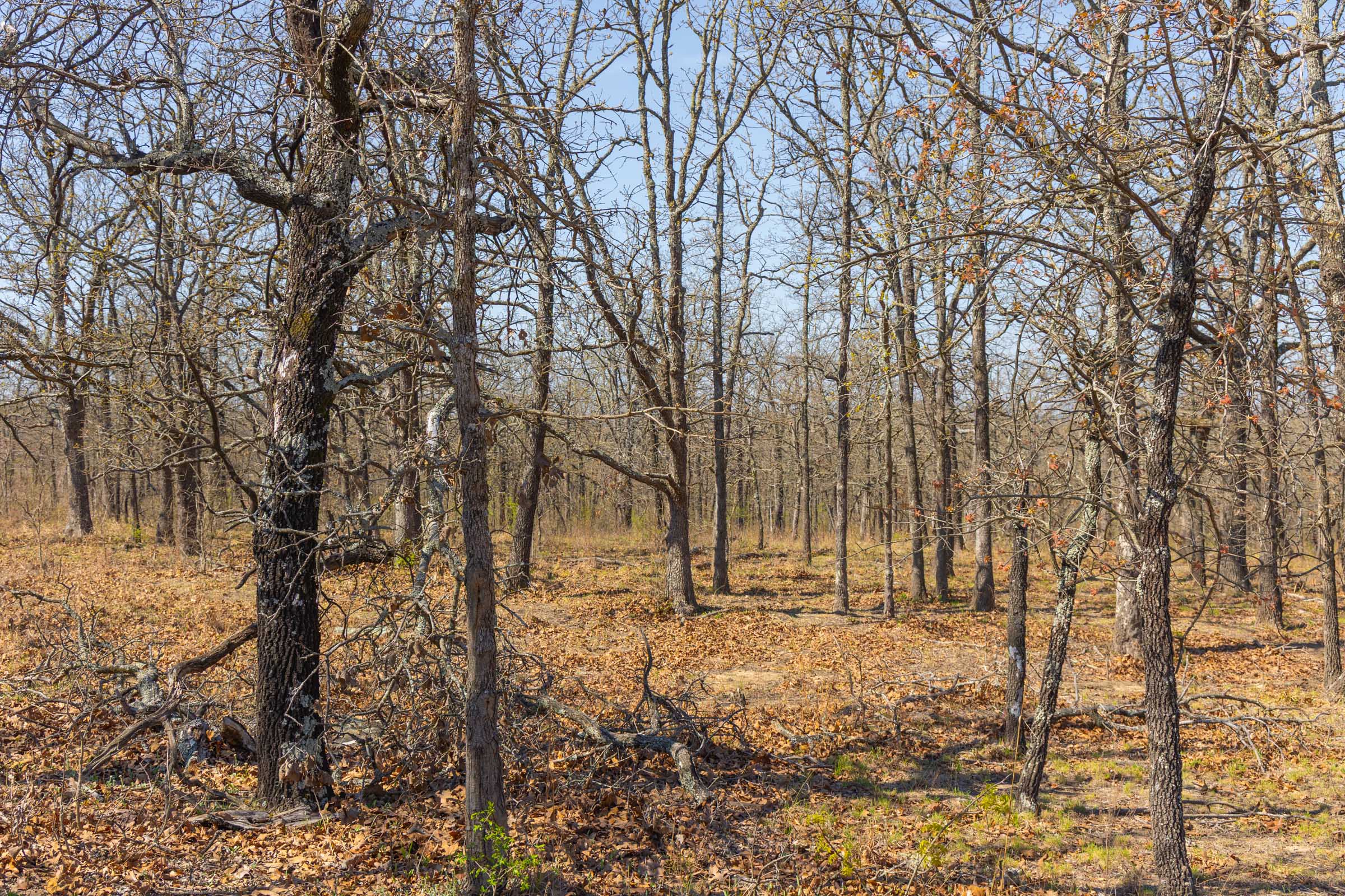 Tract 2 at Jlh Estates in Okfuskee County, Oklahoma