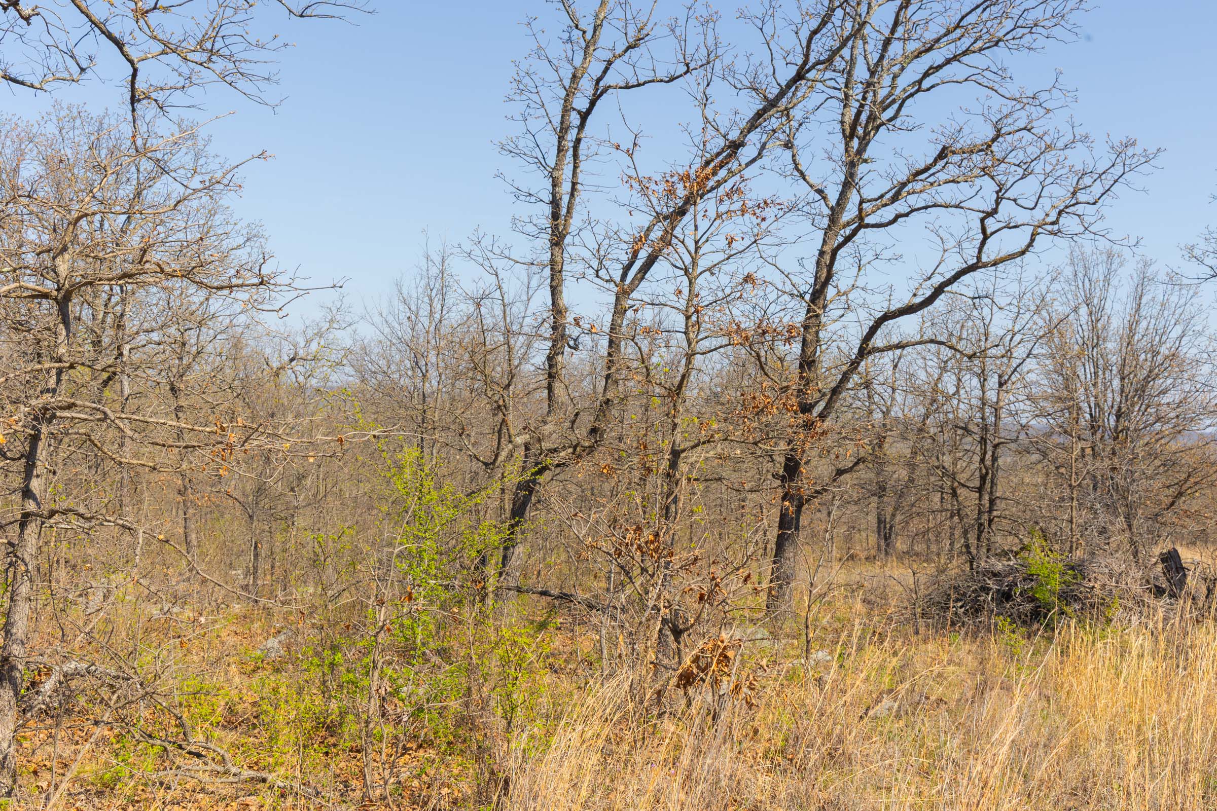 Tract 4 at Jlh Estates in Okfuskee County, Oklahoma
