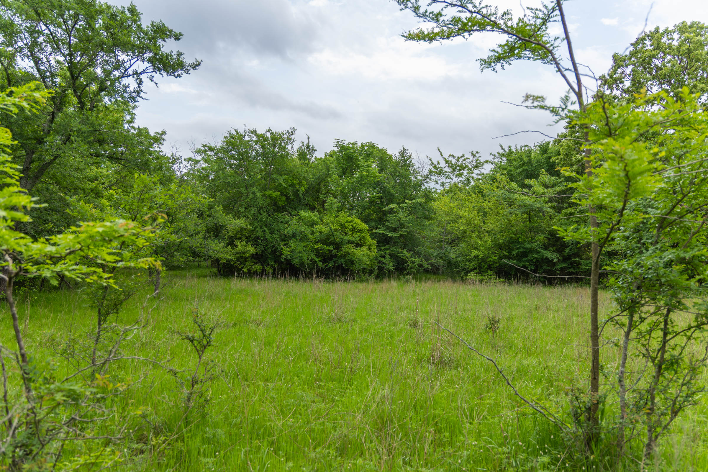 Harmony Hills · Tract 10