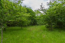 property photo for Harmony Hills Tract 10, 5.25 acres for sale in Pittsburg County, Oklahoma
