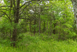 property photo for Harmony Hills Tract 10, 5.25 acres for sale in Pittsburg County, Oklahoma