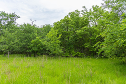 property photo for Harmony Hills Tract 10, 5.25 acres for sale in Pittsburg County, Oklahoma