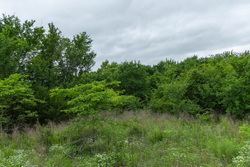 property photo for Harmony Hills Tract 2, 5.17 acres for sale in Pittsburg County, Oklahoma