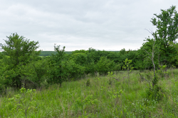 property photo for Harmony Hills Tract 2, 5.17 acres for sale in Pittsburg County, Oklahoma